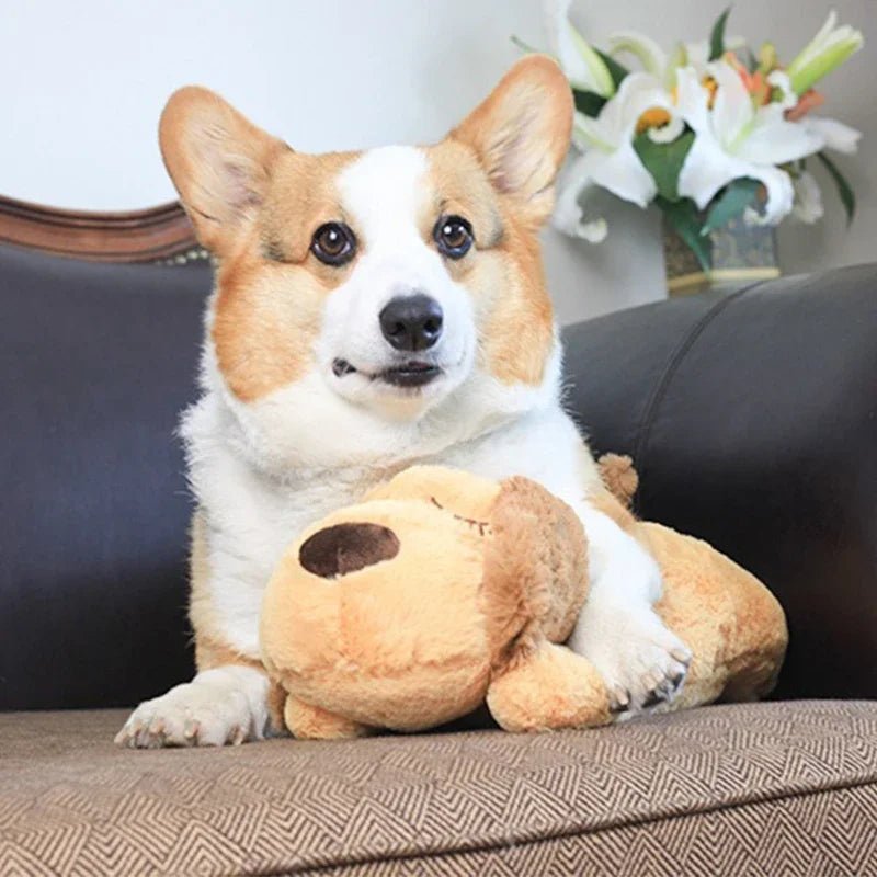 Adorable Heartbeat Puppy Training Toy for Dogs - silverfoxgoods